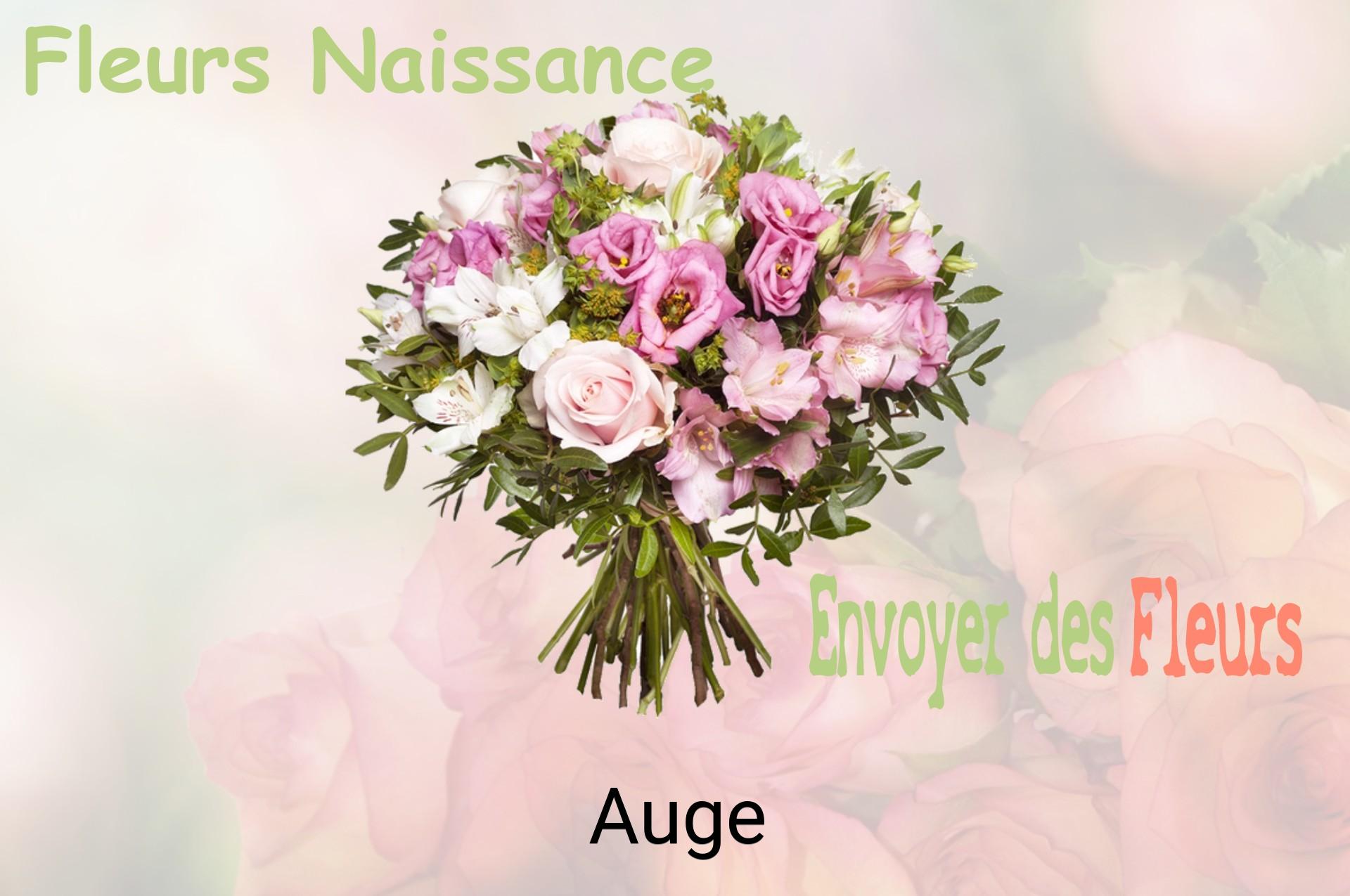 Bouquet de fleurs de naissance livré à Auge